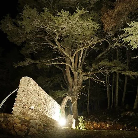 Stone 페티예